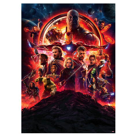 Valokuva Taustakuvat - Avengers Infinity War Movie Poster - Koko 184 X 254 Cm