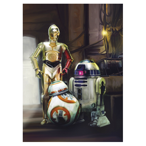 Valokuva Taustakuvat - Star Wars Kolme Droidia - Koko 184 X 254 Cm