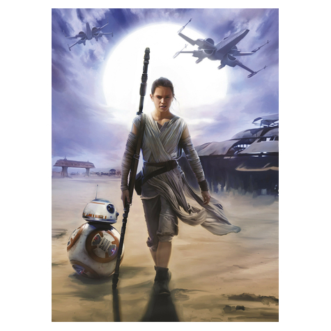 Valokuva Taustakuvat - Star Wars Rey - Koko 184 X 254 Cm