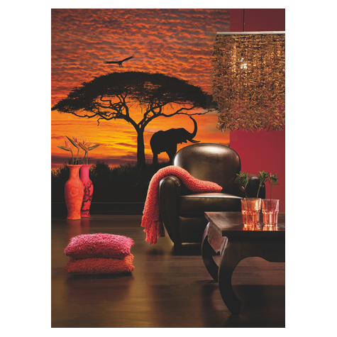Valokuva Taustakuvat - Afrikkalainen Auringonlasku - Koko 194 X 270 Cm