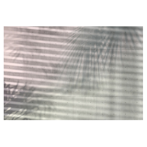Fleece Valokuva Taustakuva  - Shadows - Koko 368 X 248 Cm