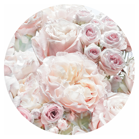Itseliimautuva Fleece Valokuva Taustakuva  / Seinätatuointi - Vaaleanpunaisia Ja Kermaisia Ruusuja - Koko 125 X 125 Cm