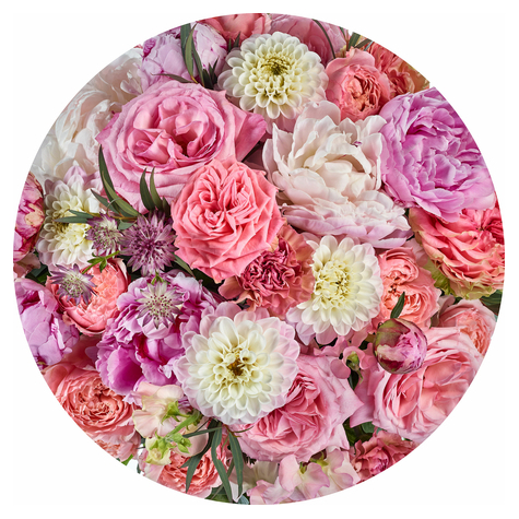 Itsekiinnittyvä Fleece Valokuva Taustakuva  / Seinätatuointi - Beautiful Blossoms - Koko 125 X 125 Cm