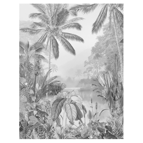 Fleece Valokuva Taustakuva  - Lac Tropical Black & White - Koko 200 X 270 Cm