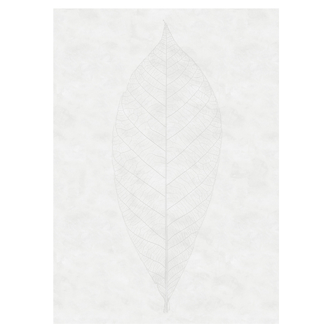 Fleece Valokuva Taustakuva  - Decent Leaf - Koko 200 X 280 Cm