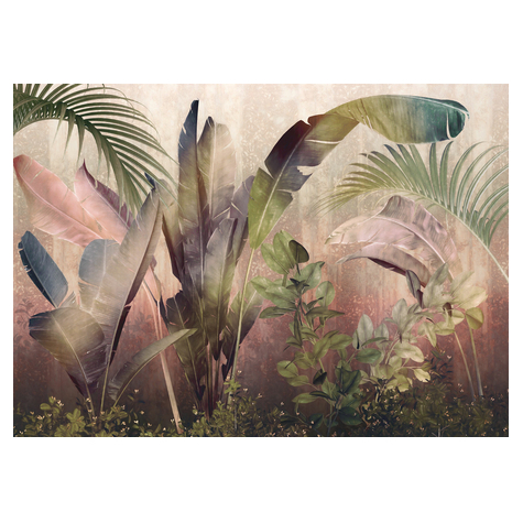 Fleece Valokuva Taustakuva  - Rainforest Mist - Koko 350 X 250 Cm