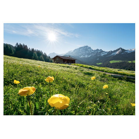 Fleece Valokuva Taustakuva  - Alpine Happiness - Koko 400 X 280 Cm