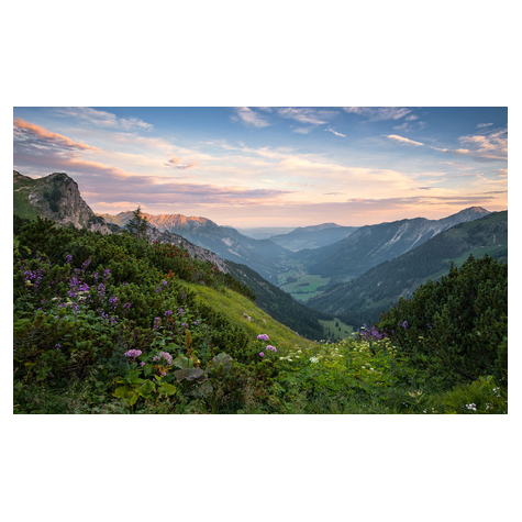 Fleece Valokuva Taustakuva  - Allgäun Korkeiden Alppien Luonnonpuisto - Koko 450 X 280 Cm