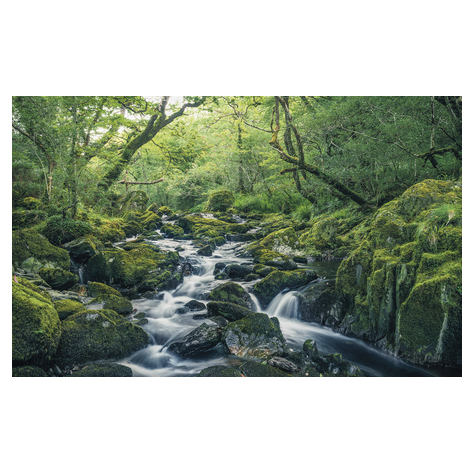 Fleece Valokuva Taustakuva  - Vihreät Tarinat - Koko 400 X 250 Cm