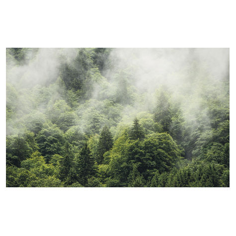 Fleece Valokuva Taustakuva  - Forest Land - Koko 400 X 250 Cm